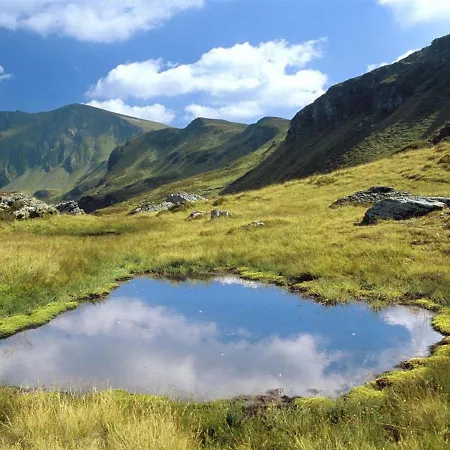 In Ski Area In With Sauna *