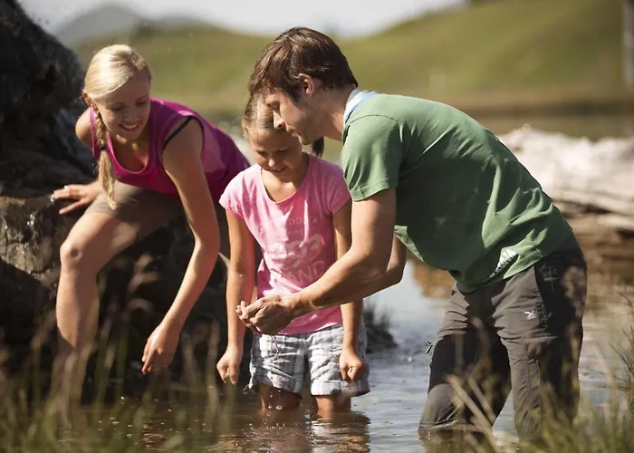 In Ski Area In With Sauna