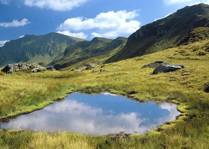 In Ski Area In With Sauna *