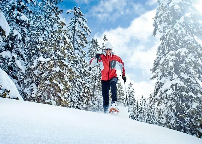 In Ski Area In With Sauna * Leogang
